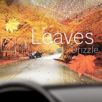 wiper blades Leaves